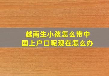 越南生小孩怎么带中国上户口呢现在怎么办