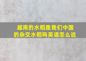 越南的水稻是我们中国的杂交水稻吗英语怎么说