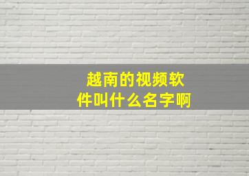 越南的视频软件叫什么名字啊