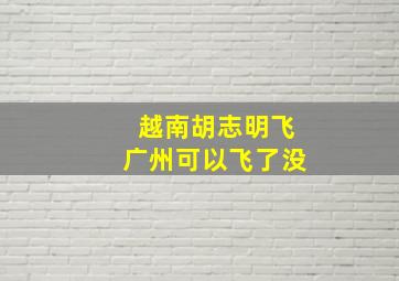 越南胡志明飞广州可以飞了没