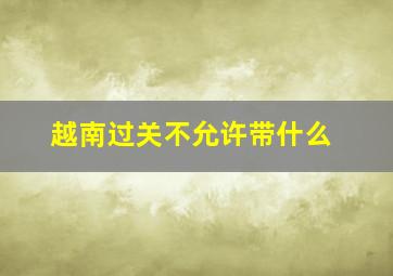 越南过关不允许带什么