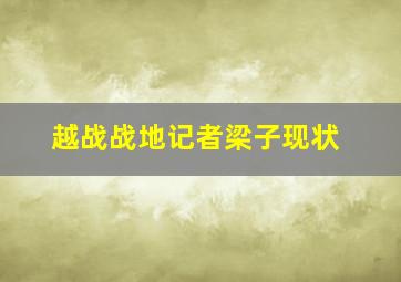 越战战地记者梁子现状