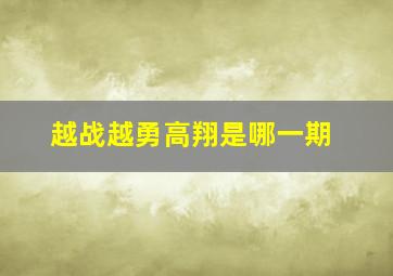 越战越勇高翔是哪一期