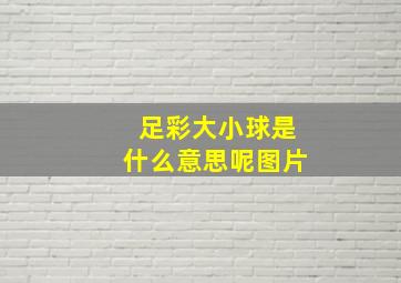 足彩大小球是什么意思呢图片