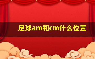 足球am和cm什么位置