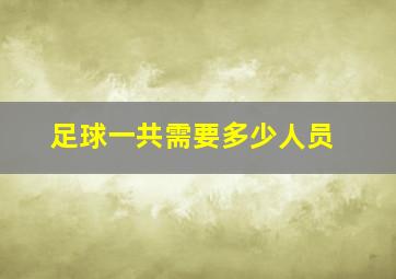 足球一共需要多少人员