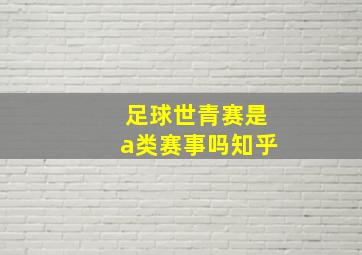 足球世青赛是a类赛事吗知乎