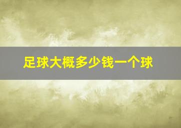 足球大概多少钱一个球