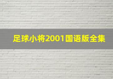 足球小将2001国语版全集