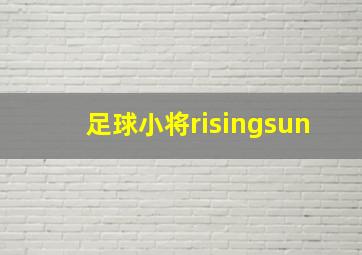 足球小将risingsun