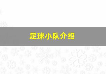 足球小队介绍