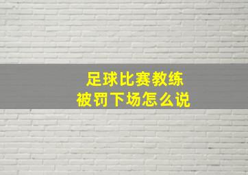 足球比赛教练被罚下场怎么说