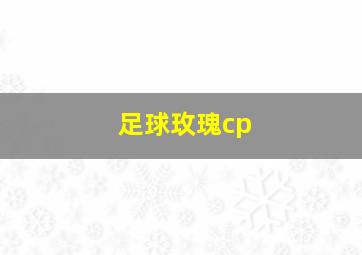 足球玫瑰cp