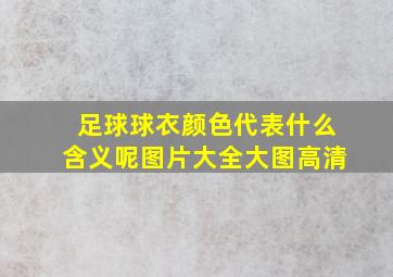 足球球衣颜色代表什么含义呢图片大全大图高清