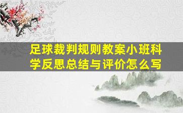 足球裁判规则教案小班科学反思总结与评价怎么写