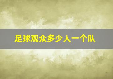 足球观众多少人一个队