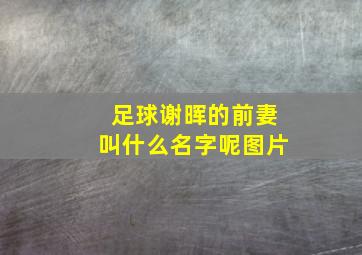 足球谢晖的前妻叫什么名字呢图片