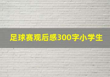 足球赛观后感300字小学生