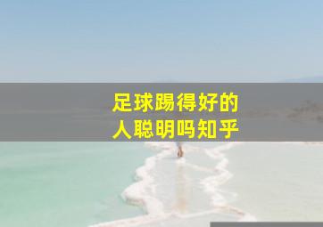 足球踢得好的人聪明吗知乎