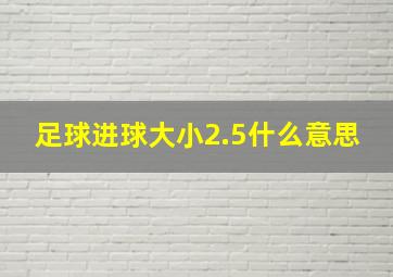 足球进球大小2.5什么意思