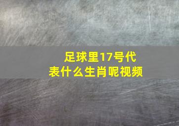 足球里17号代表什么生肖呢视频