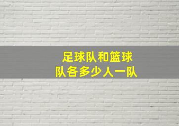 足球队和篮球队各多少人一队