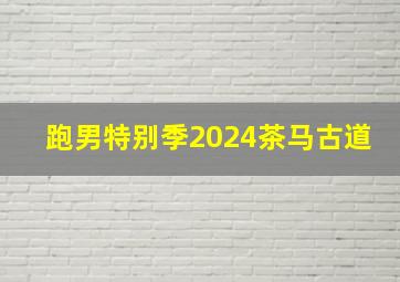 跑男特别季2024茶马古道