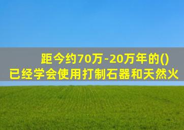 距今约70万-20万年的()已经学会使用打制石器和天然火