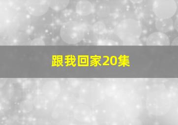 跟我回家20集