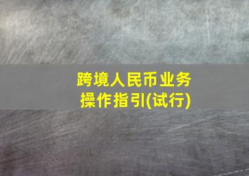 跨境人民币业务操作指引(试行)