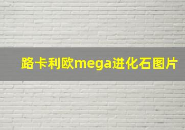 路卡利欧mega进化石图片