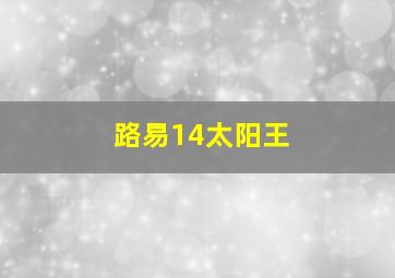 路易14太阳王