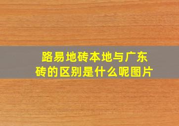 路易地砖本地与广东砖的区别是什么呢图片