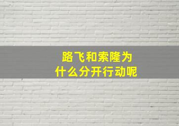 路飞和索隆为什么分开行动呢