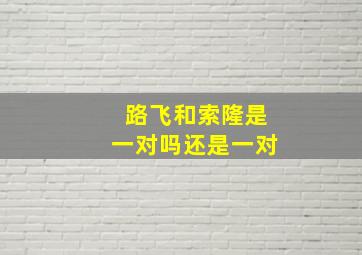 路飞和索隆是一对吗还是一对