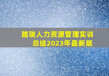 踏瑞人力资源管理实训总结2023年最新版