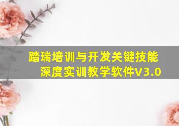 踏瑞培训与开发关键技能深度实训教学软件V3.0