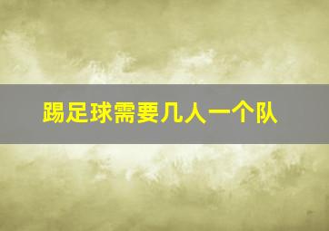 踢足球需要几人一个队