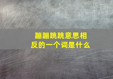 蹦蹦跳跳意思相反的一个词是什么