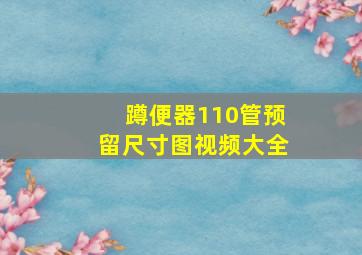 蹲便器110管预留尺寸图视频大全