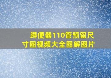 蹲便器110管预留尺寸图视频大全图解图片