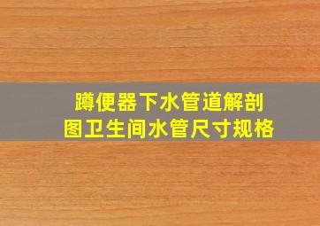 蹲便器下水管道解剖图卫生间水管尺寸规格