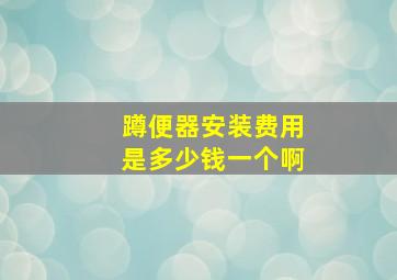 蹲便器安装费用是多少钱一个啊