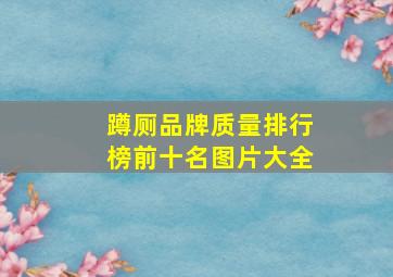 蹲厕品牌质量排行榜前十名图片大全