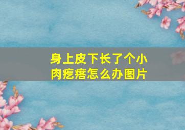 身上皮下长了个小肉疙瘩怎么办图片