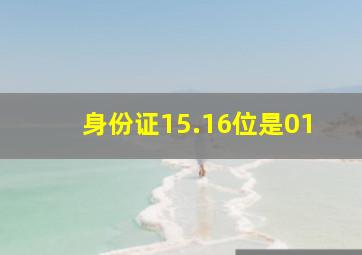 身份证15.16位是01