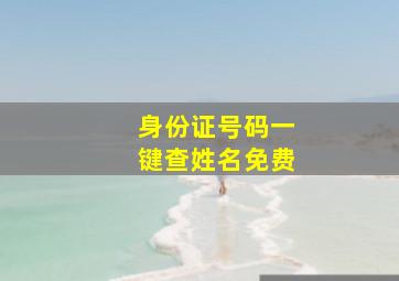 身份证号码一键查姓名免费