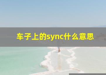 车子上的sync什么意思