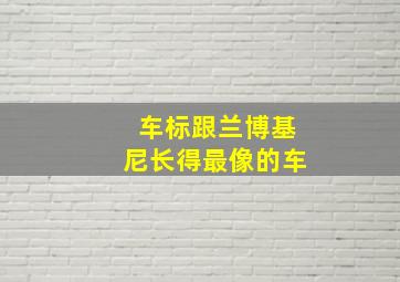 车标跟兰博基尼长得最像的车