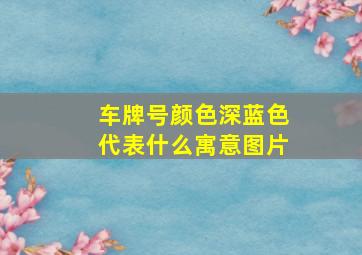 车牌号颜色深蓝色代表什么寓意图片